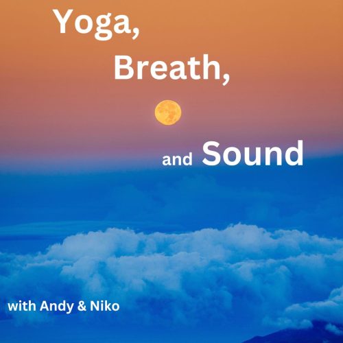 Yoga, Breath, and Sound with Andy McDonald and Niko - Saturday, February 8, 2025 – 10:30AM-12:00